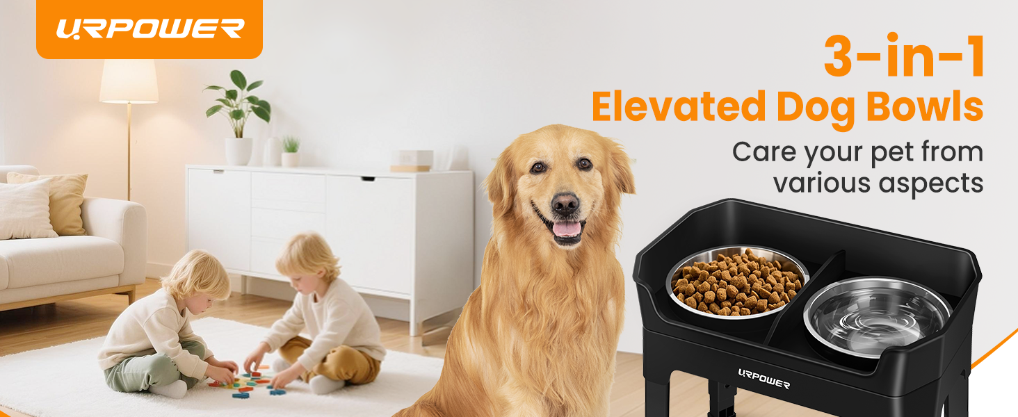 elevated dog bowls