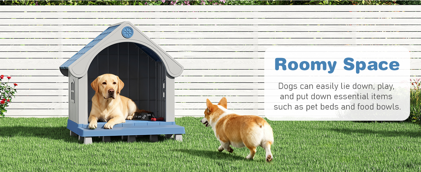 dog house