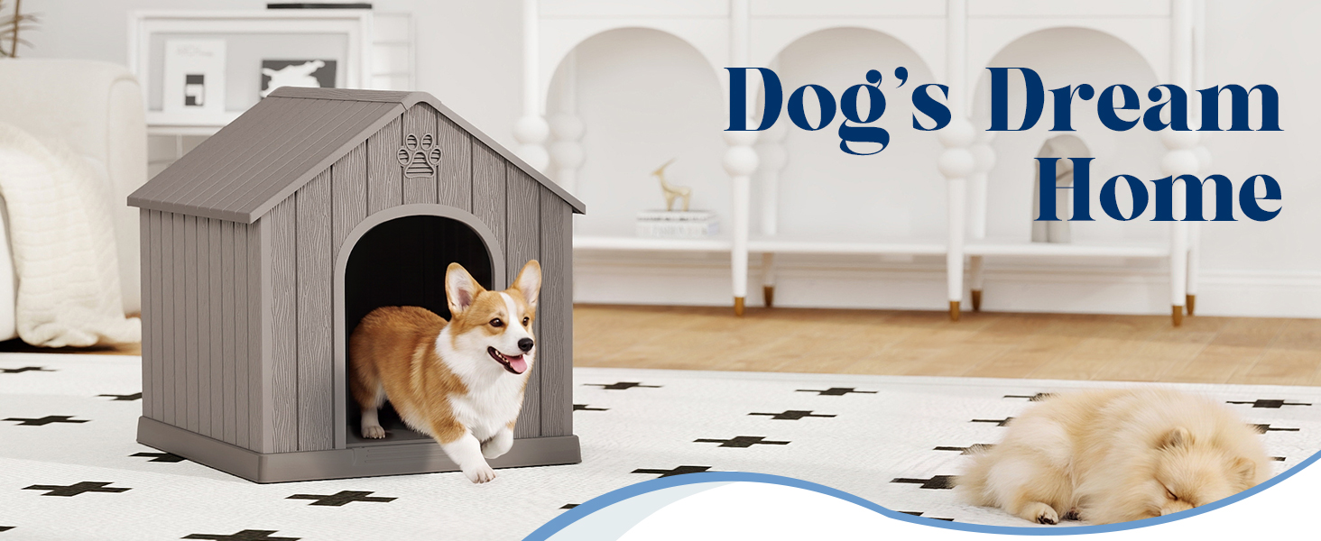 dog house