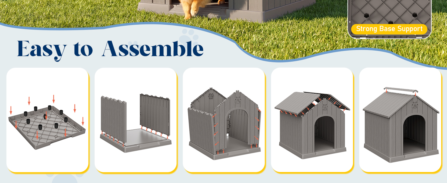 dog house