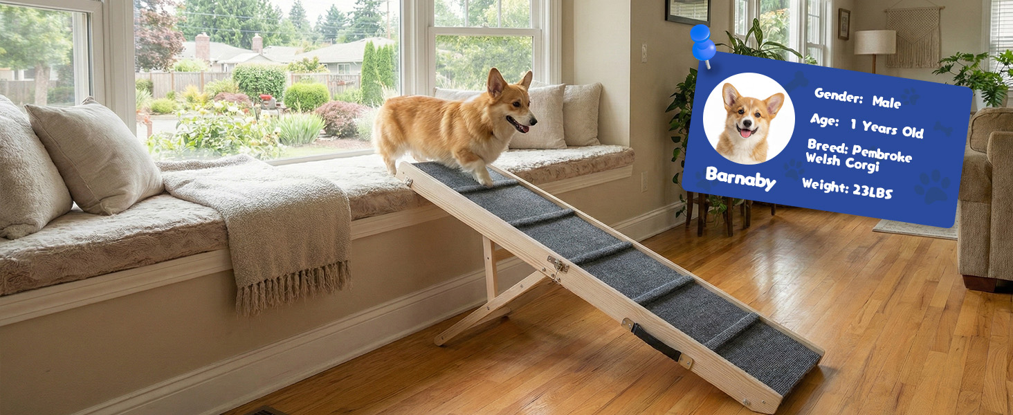dog ramp window