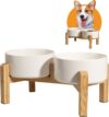 Elevated Ceramic Dog Bowl, 3.6 Cups Dog Food and Water Bowl Set with Stand