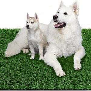 Fake Grass Pad for Dogs Potty Training Artificial Turf, 39.3×31.5in