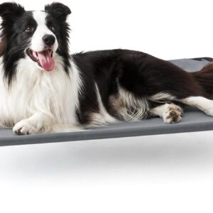 Love’s cabin Elevated Cooling Dog Bed for Large Dogs, Portable Indoor & Outdoor Raised Pet Dog Cat Cot, Durable Summer Frame with Breathable Mesh, Grey, 48 inches