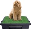 PetSafe Pet Loo Portable Dog Potty, Medium
