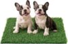 Replacement Artificial Grass Pee Pads for Dogs Potty Training to Pee & Poop