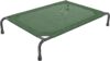 Simple Trending Raised Dog Bed for Large Dogs, Waterproof Dog Cot, Green