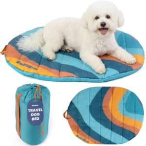 Travel Dog Bed, 30x22in, Foldable & Packable with Carry Bag, Teal