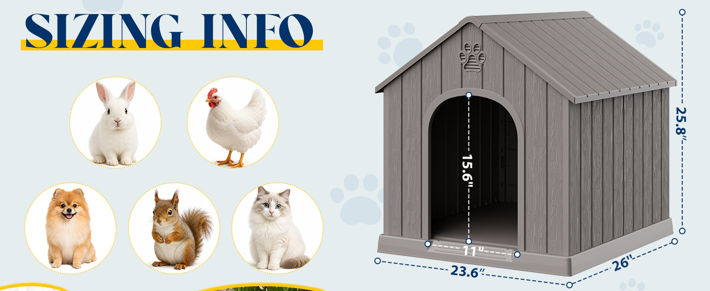 dog house