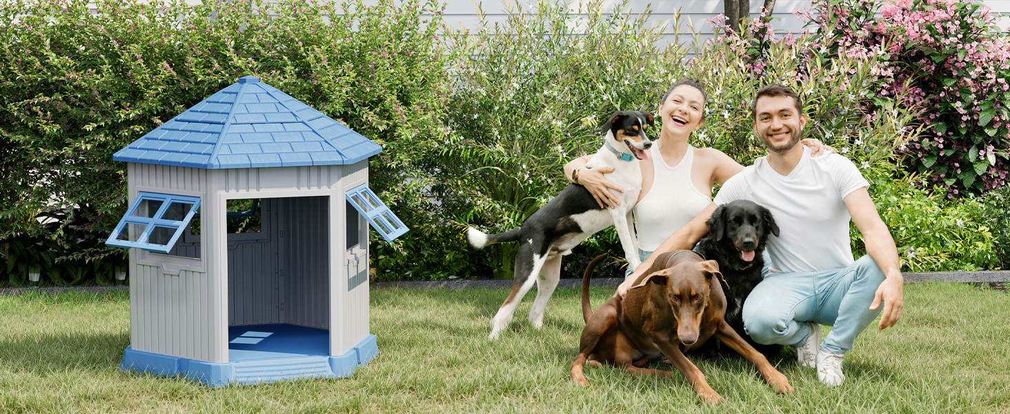 dog house