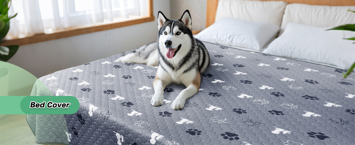 puppy pee pads
