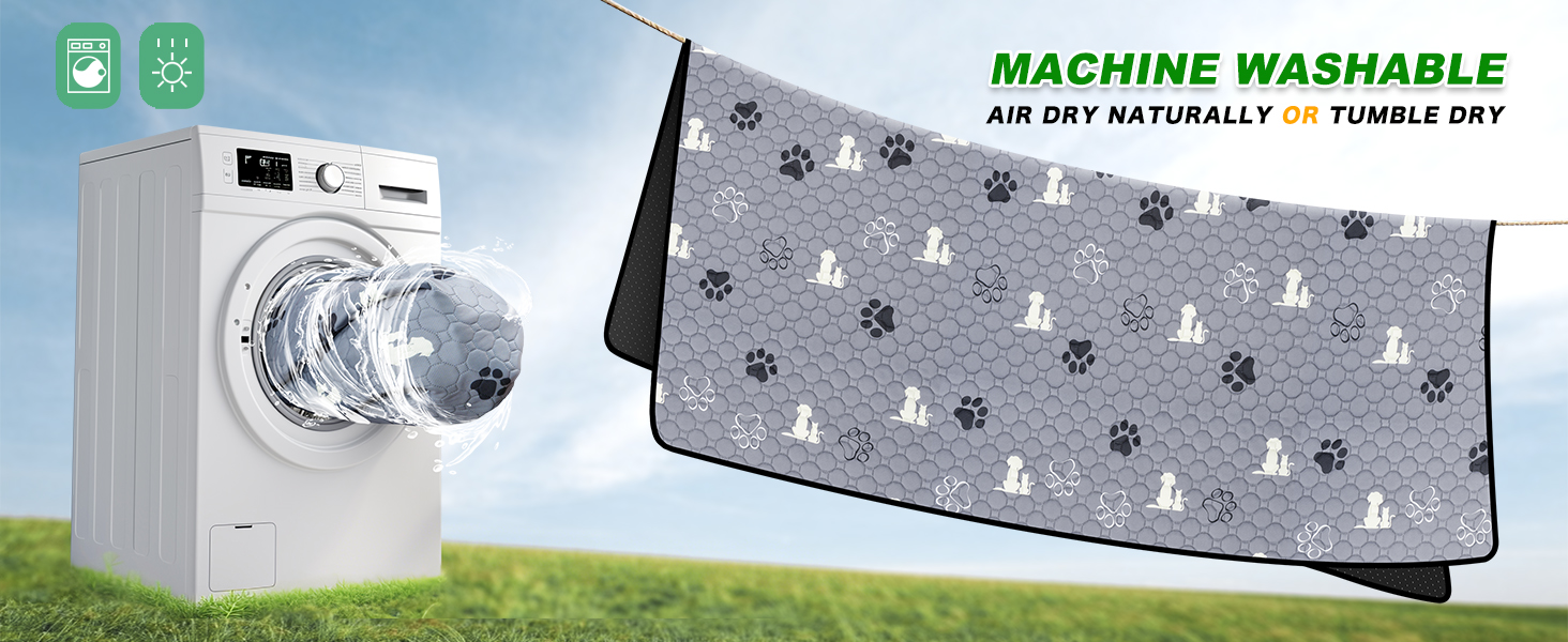potty pads for dogs