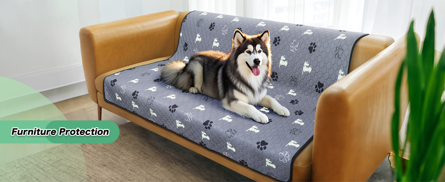dog mat