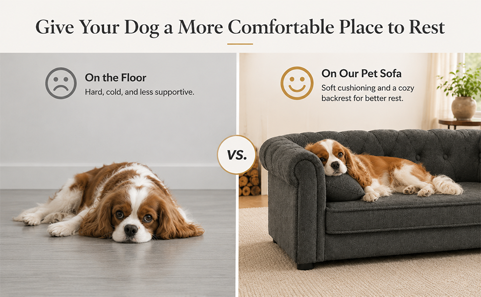 Rectangle Dog Sofa Bed