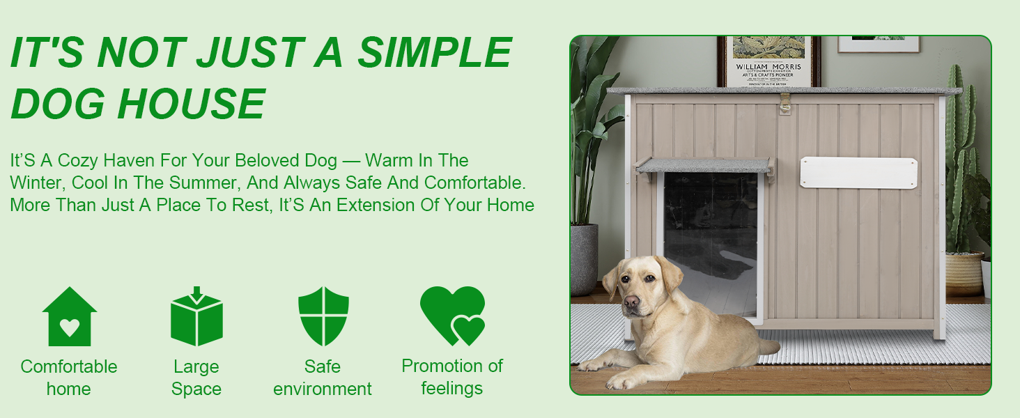 large Dog House