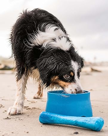 Dog eating from Seaflex No Slip Bowl at the beach