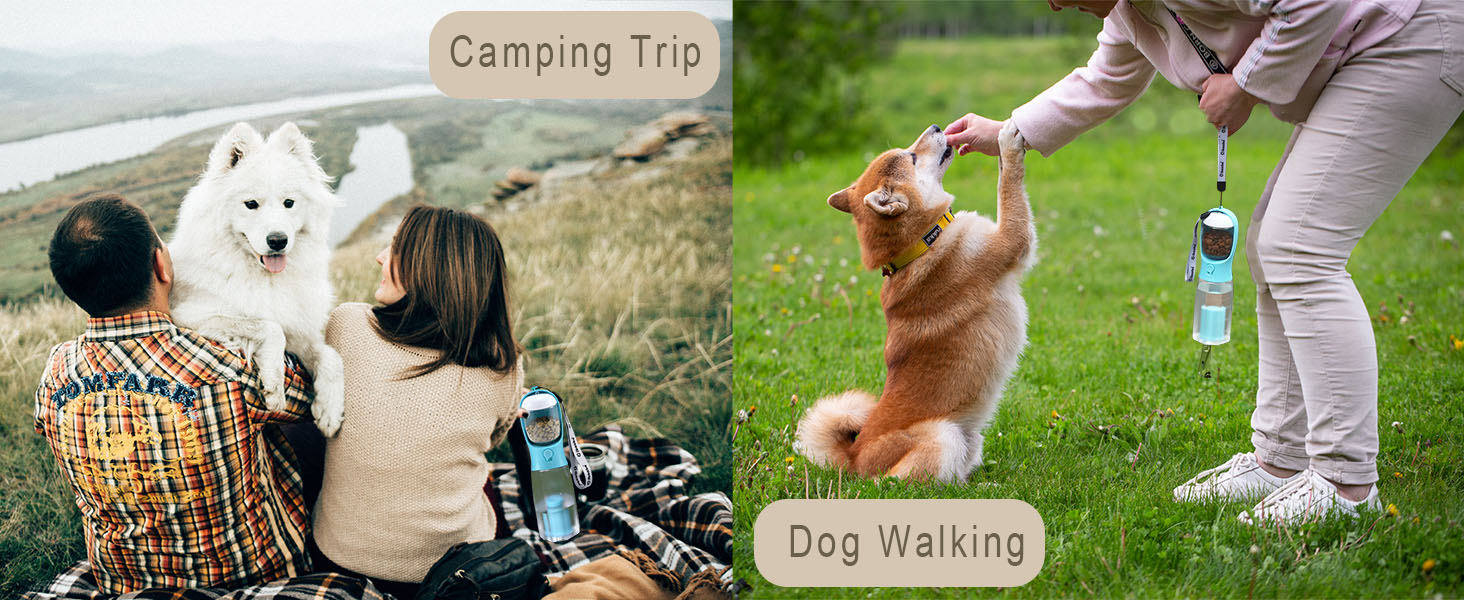 dog water bottle