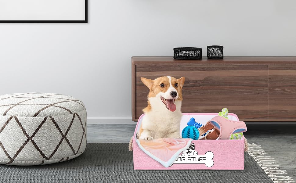 pet toy boxes