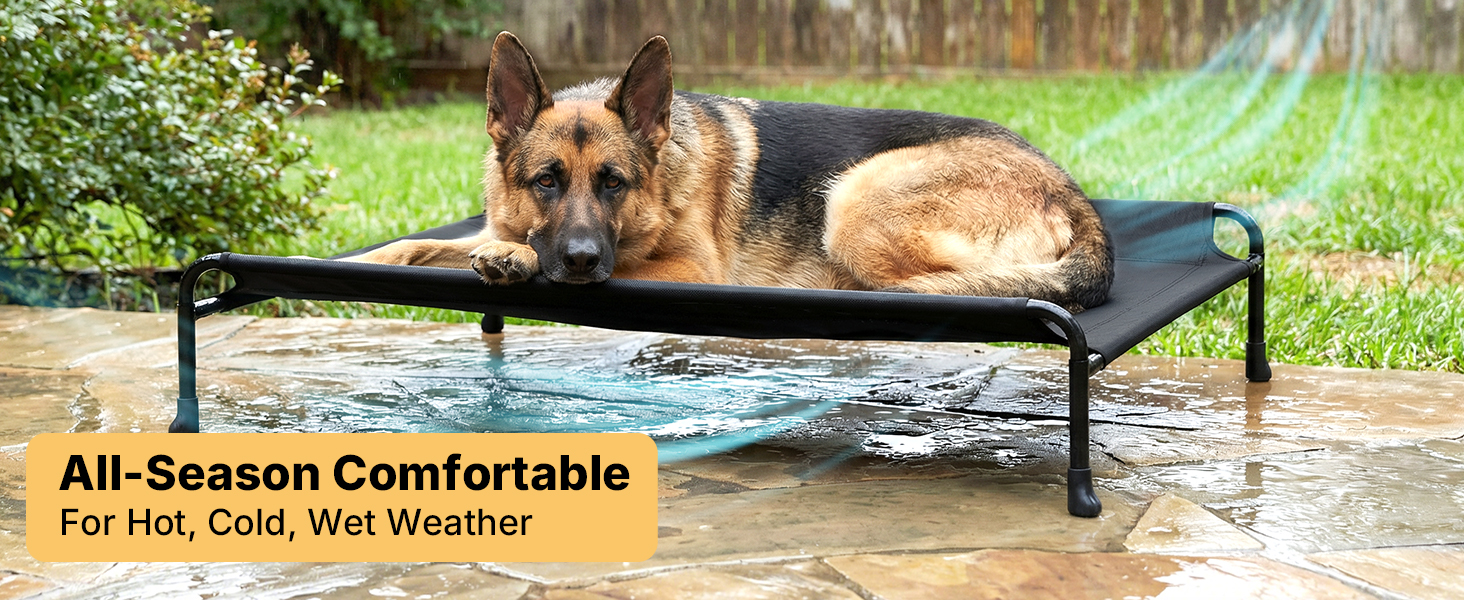 outdoor dog bed