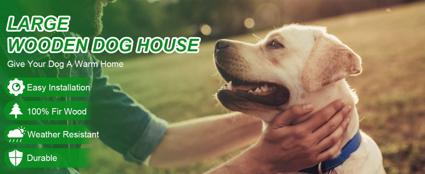 large Dog House