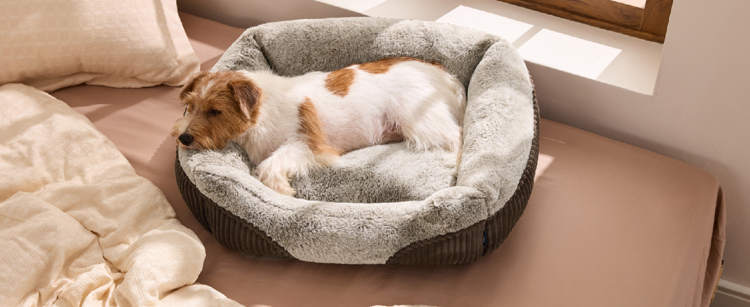 T1 dog bed