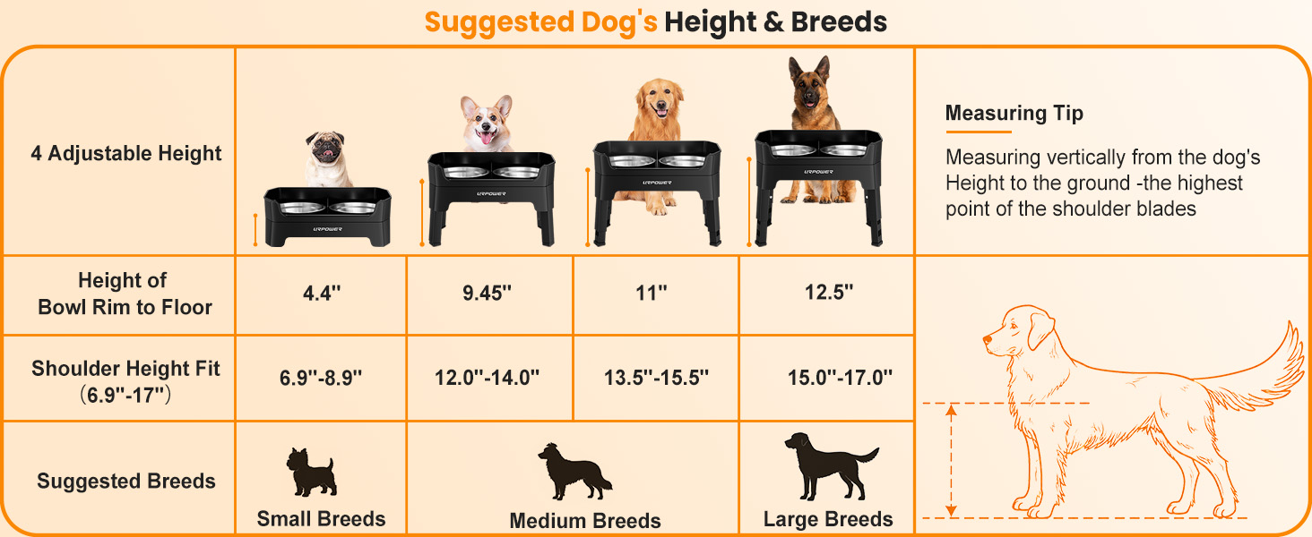 dog bowls elevated