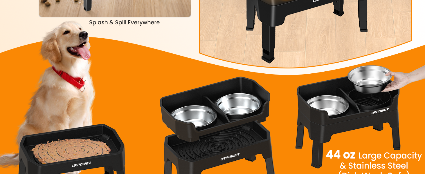 dog food bowl