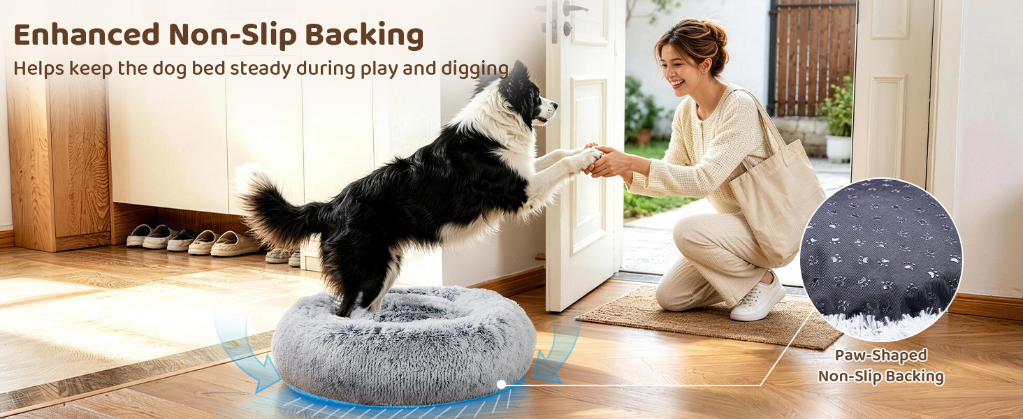 dog beds