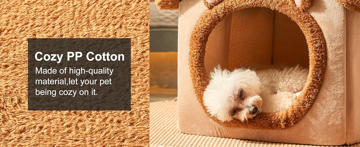 Dog House