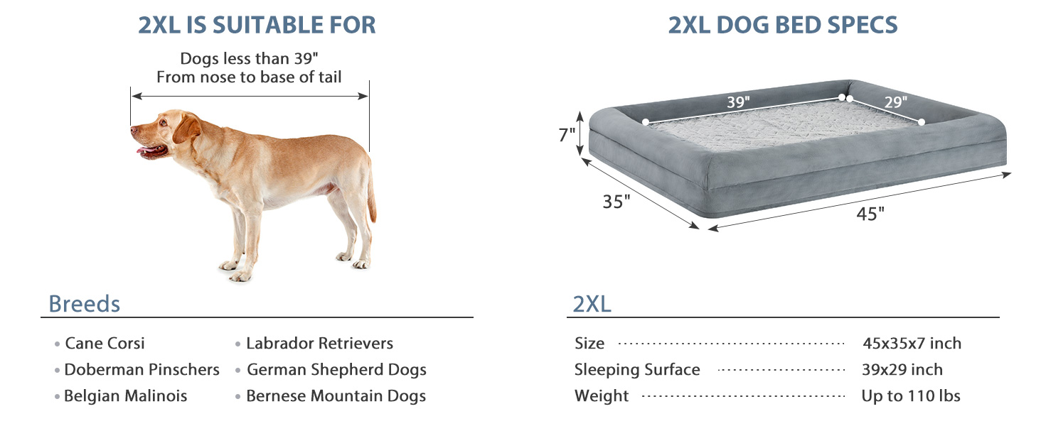 XXL