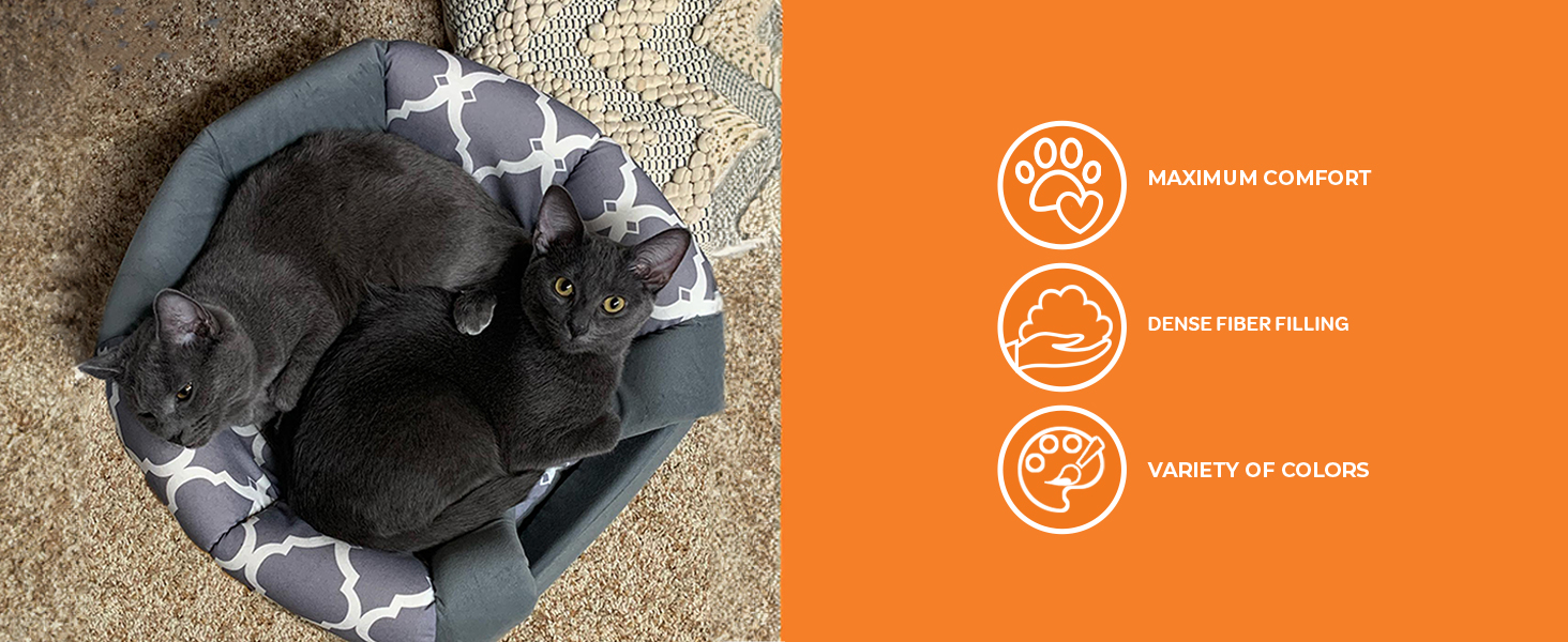 dog beds