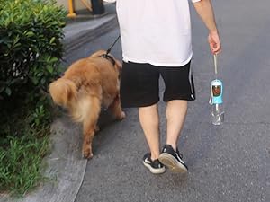 dog water bottle