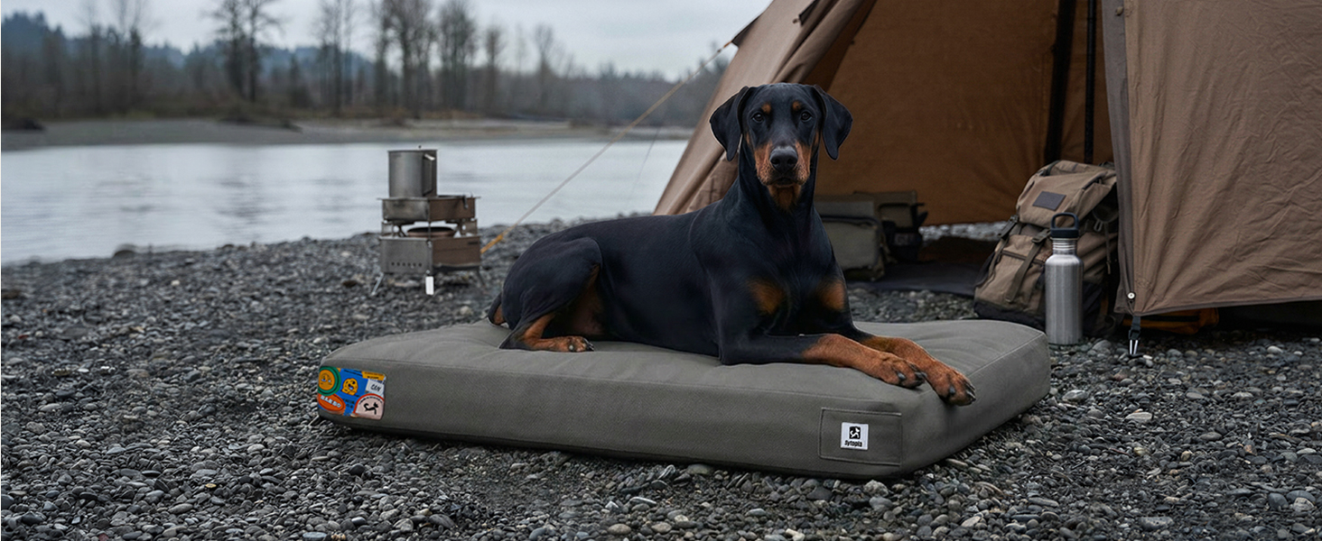 chew proof dog bed
