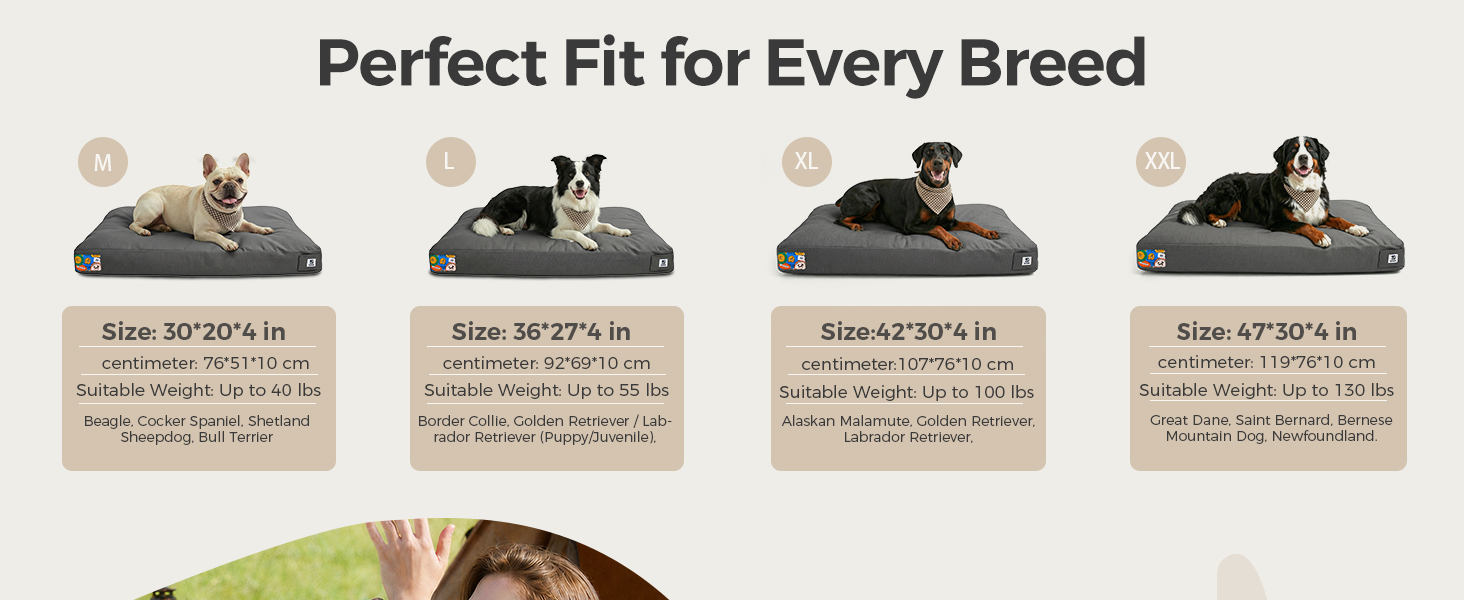 chew proof dog bed