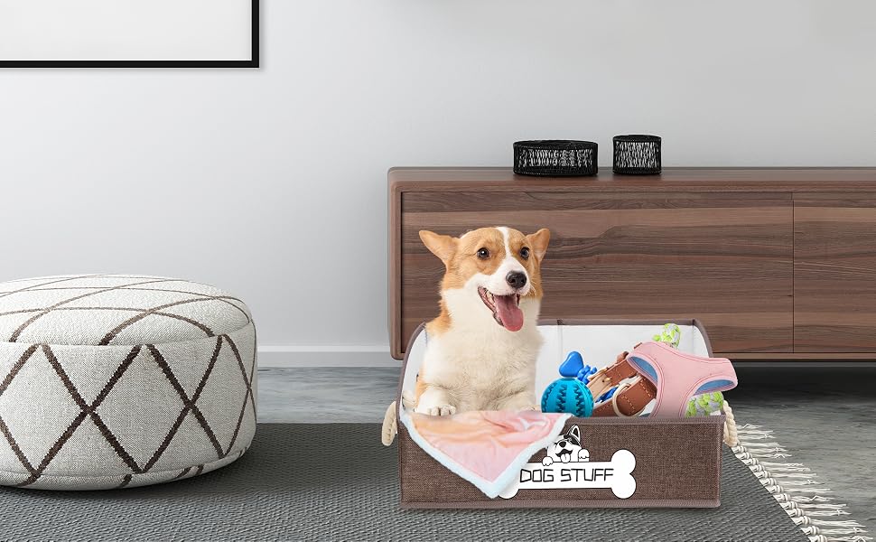 pet toy boxes