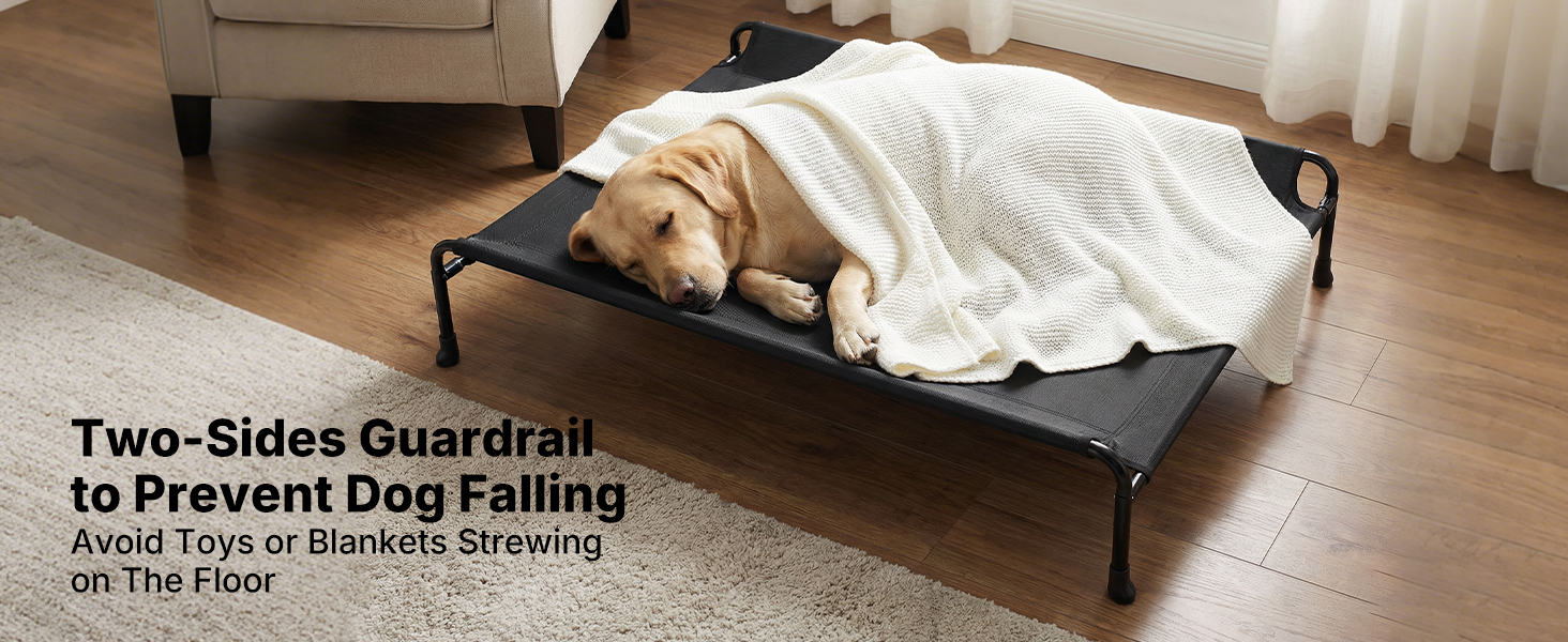 raised dog bed