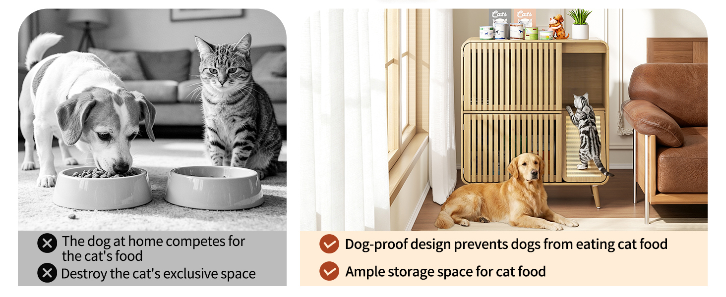 cats food bowls