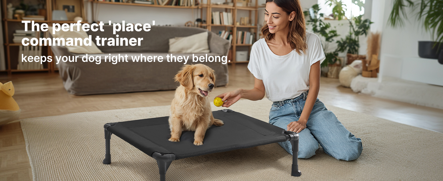 dog cot