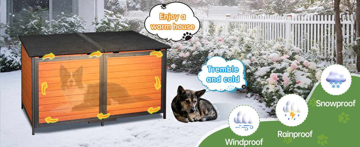 dog house