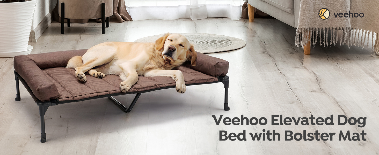 cooling elevated dog bed