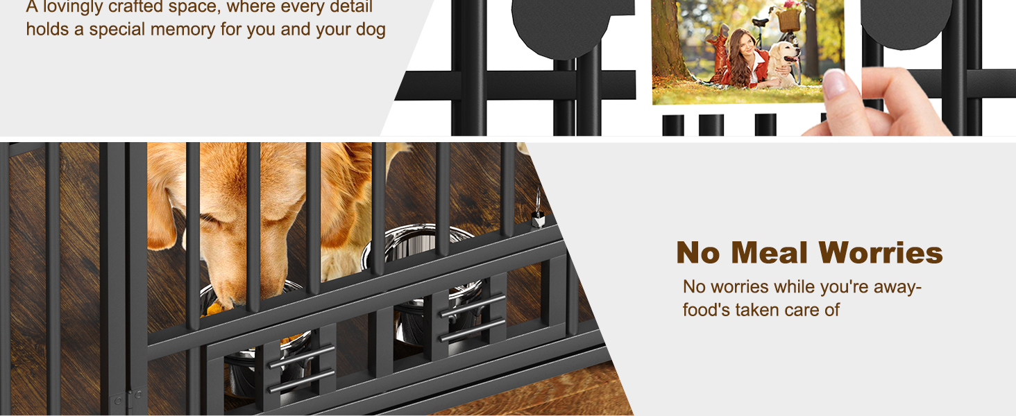 collapsible dog crate