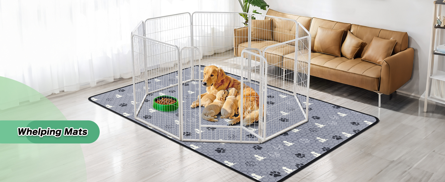 dog pee pads