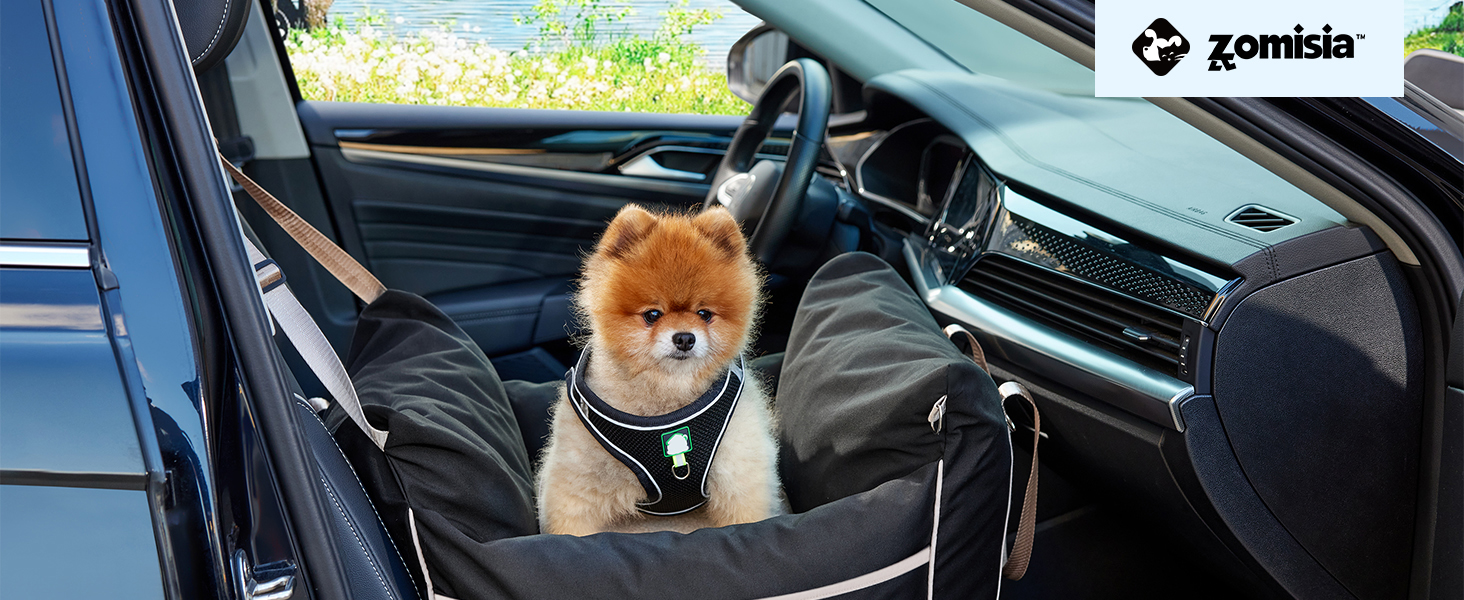 dog car seat