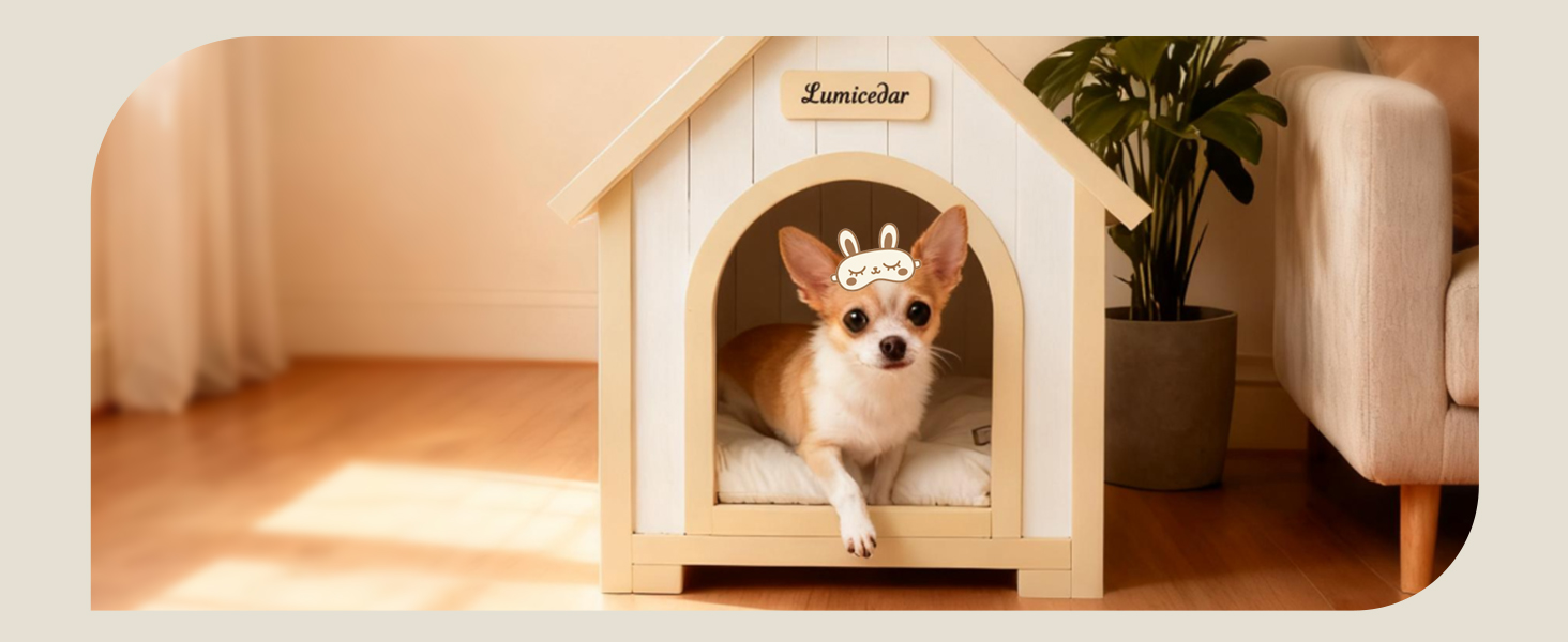 cat house dog house cat beds for indoor cats cat beds dog kennel cat house dog house