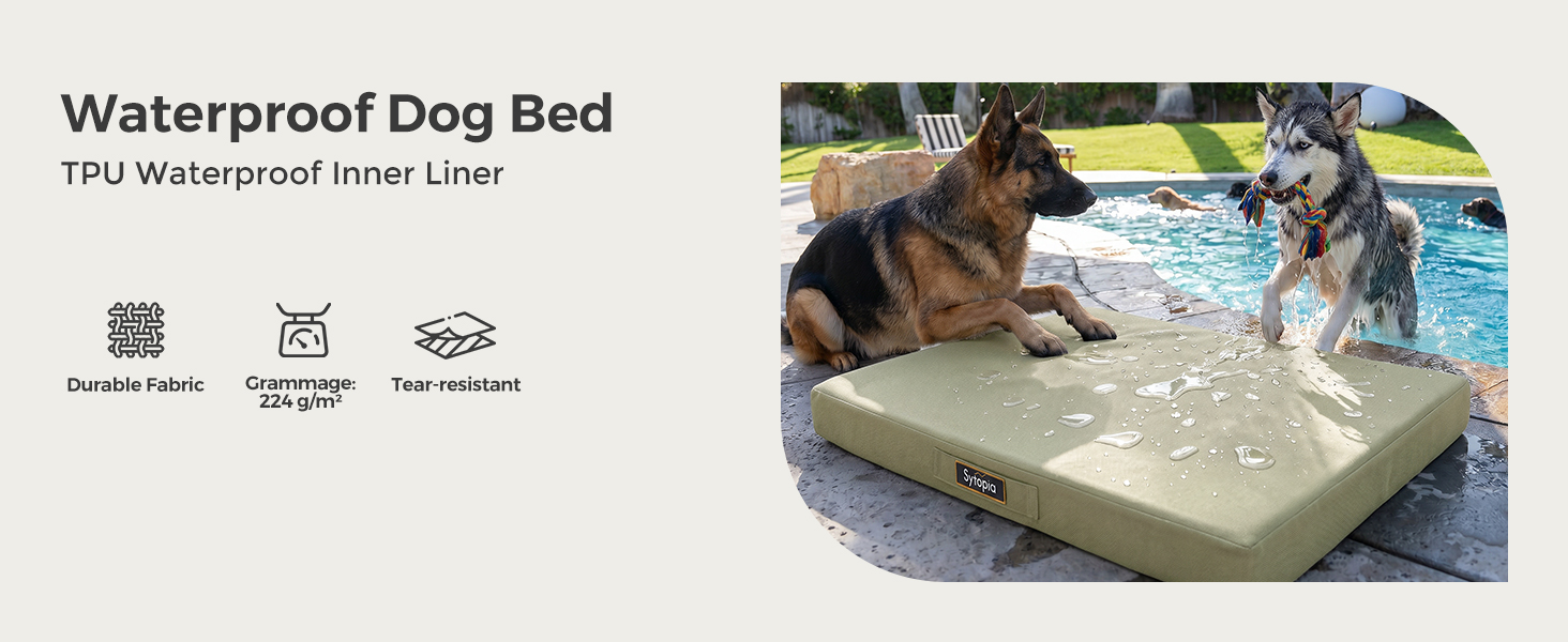 dog bed