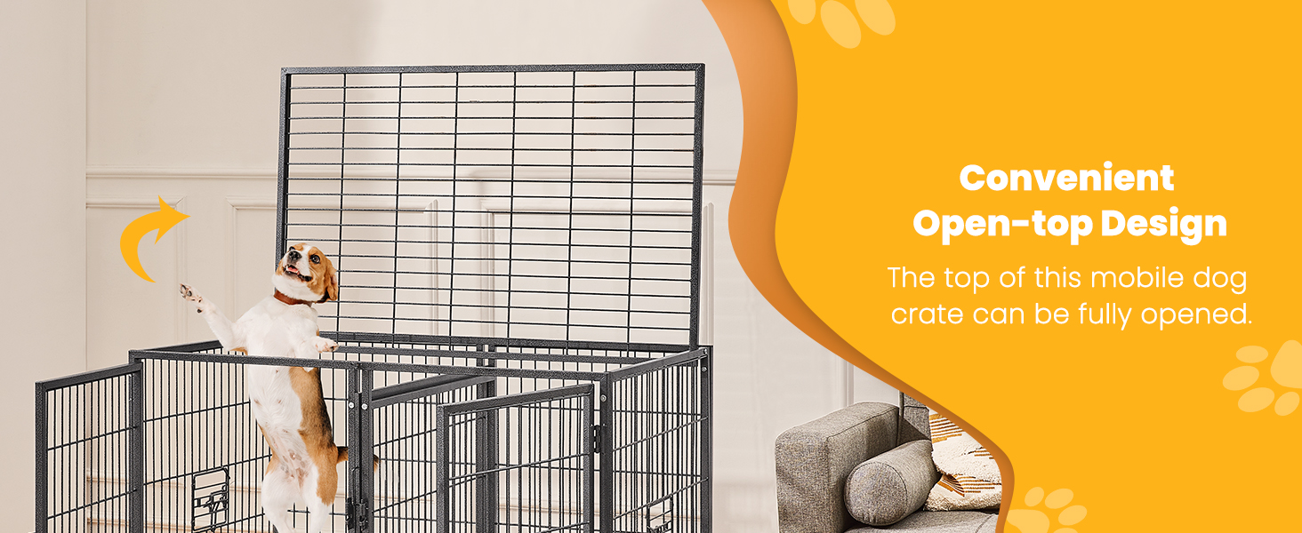 dog crate