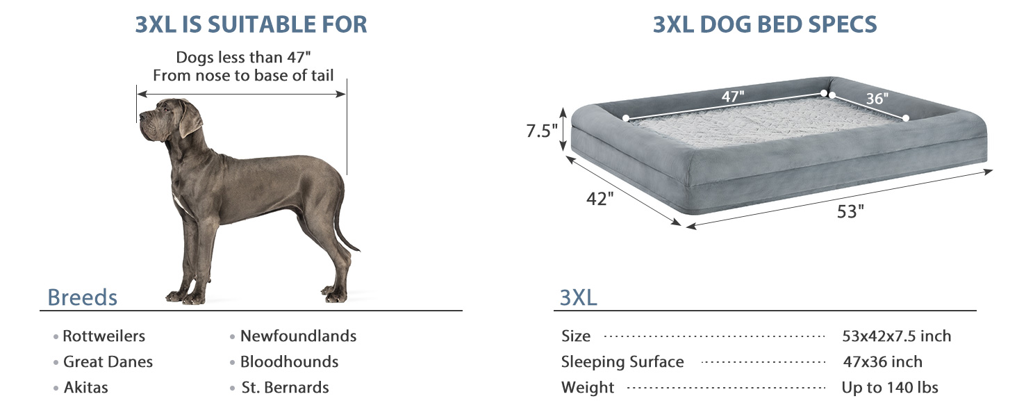 dog bed