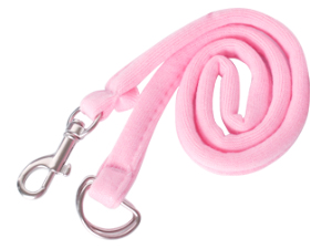 dog carriers for small dogs
