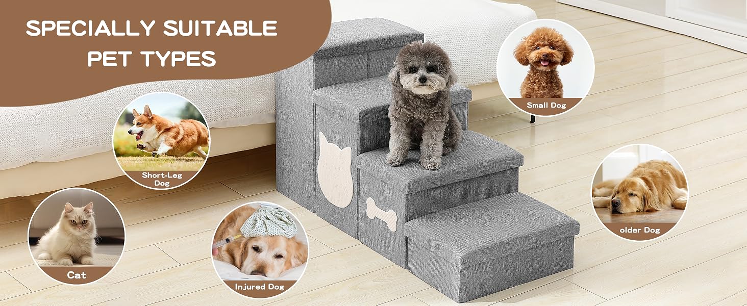 pet stairs for small dogs