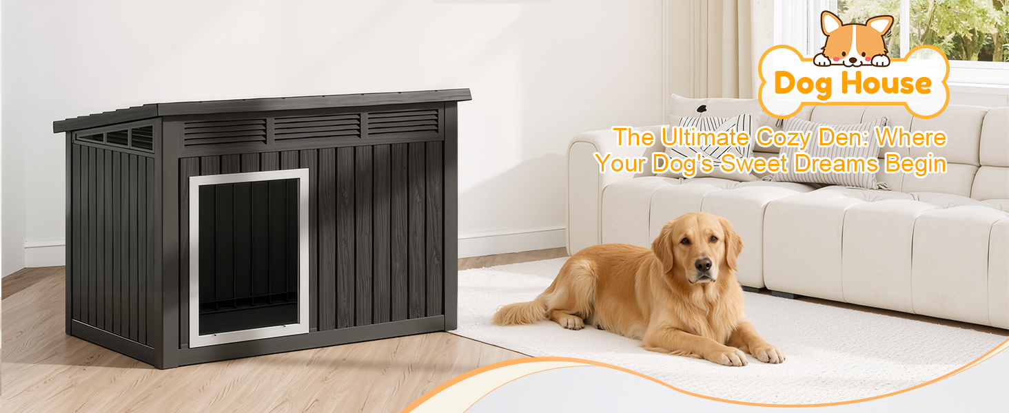 dog house outdoor